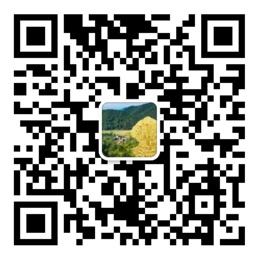 全民彩票app官网下载